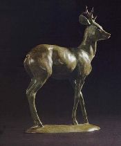Gill Parker